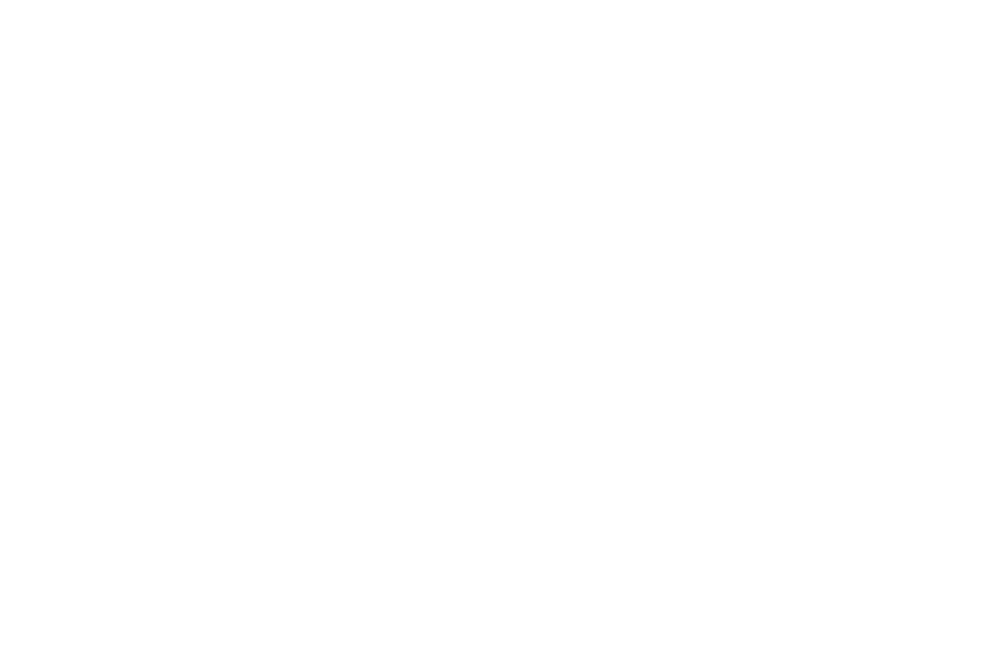 SAAN Московские ворота